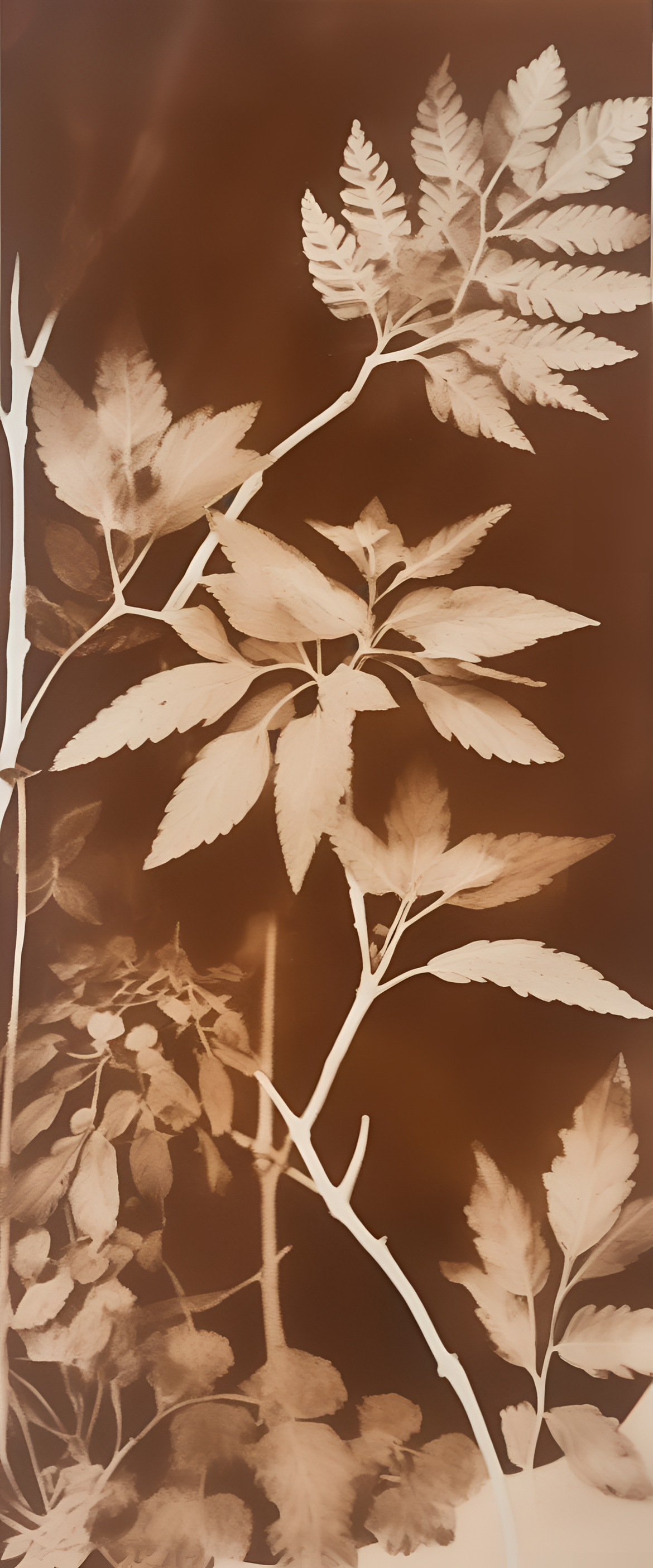 Cyanotype-inspired brown aesthetic wallpaper