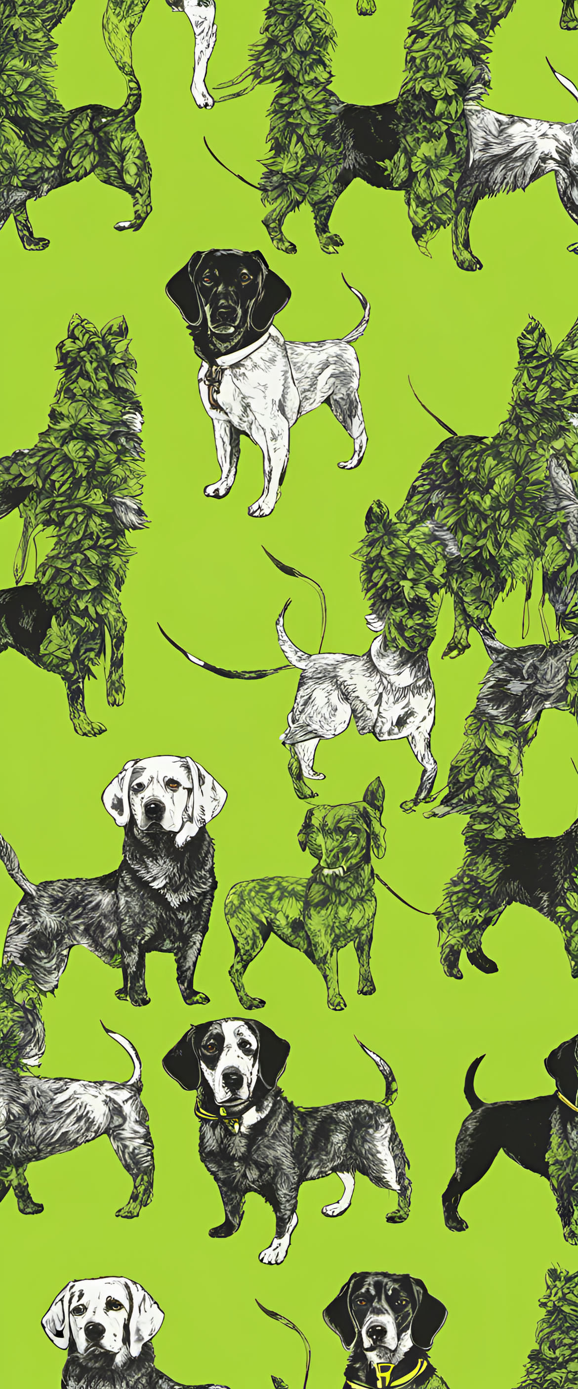 Acid green wallpaper with a dog silhouette