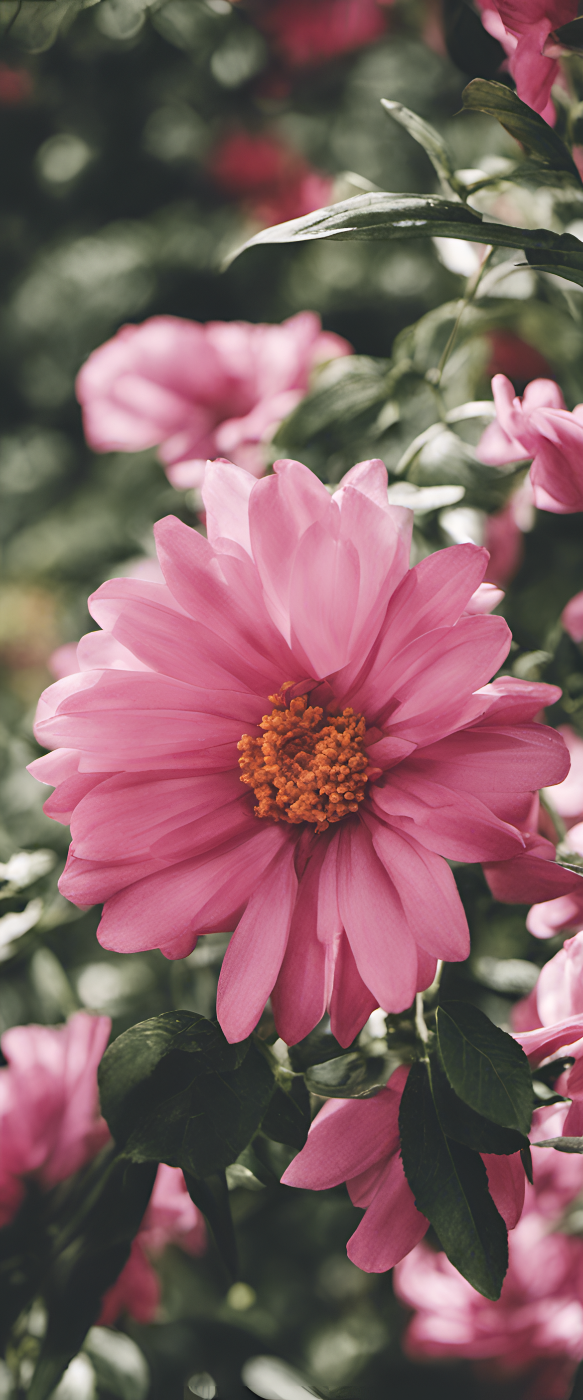 Floral profile picture with colorful blooms