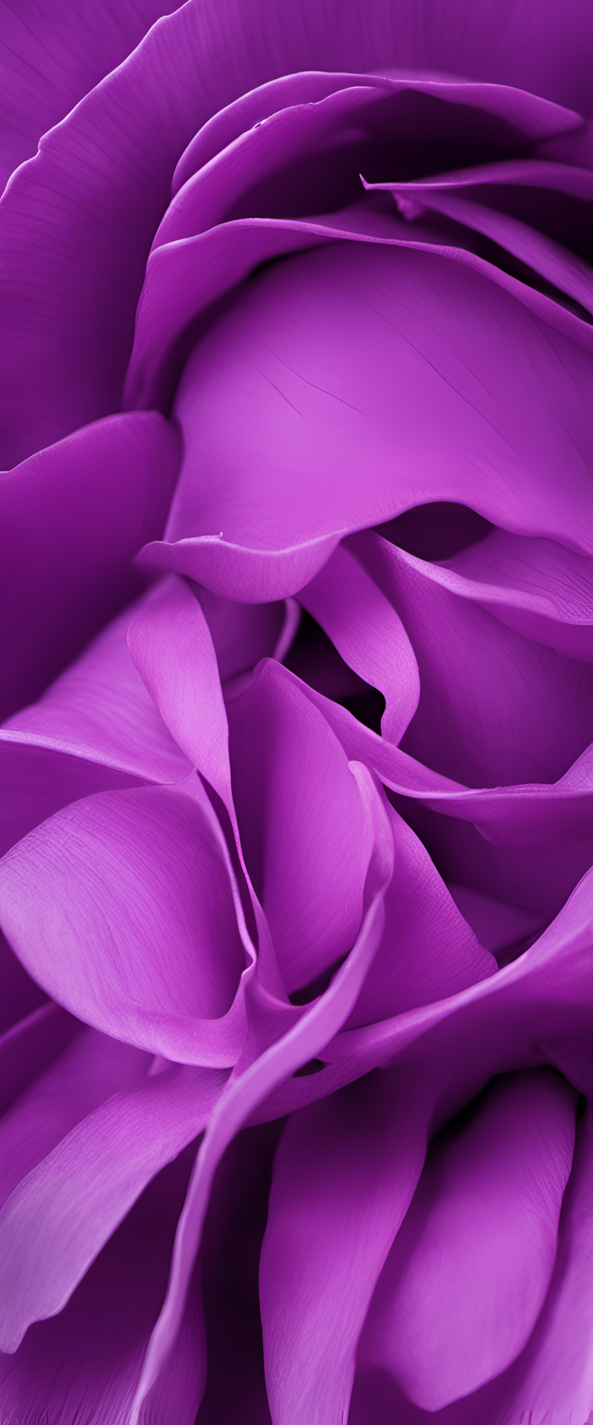 Vibrant purple abstract design with flowing shapes and gradients.