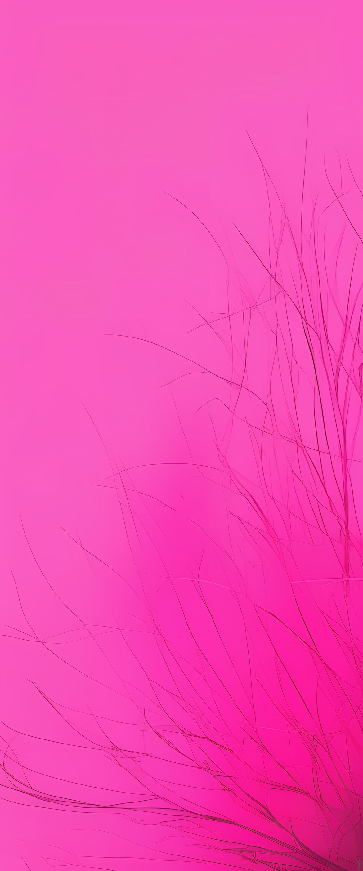 A Pink Background