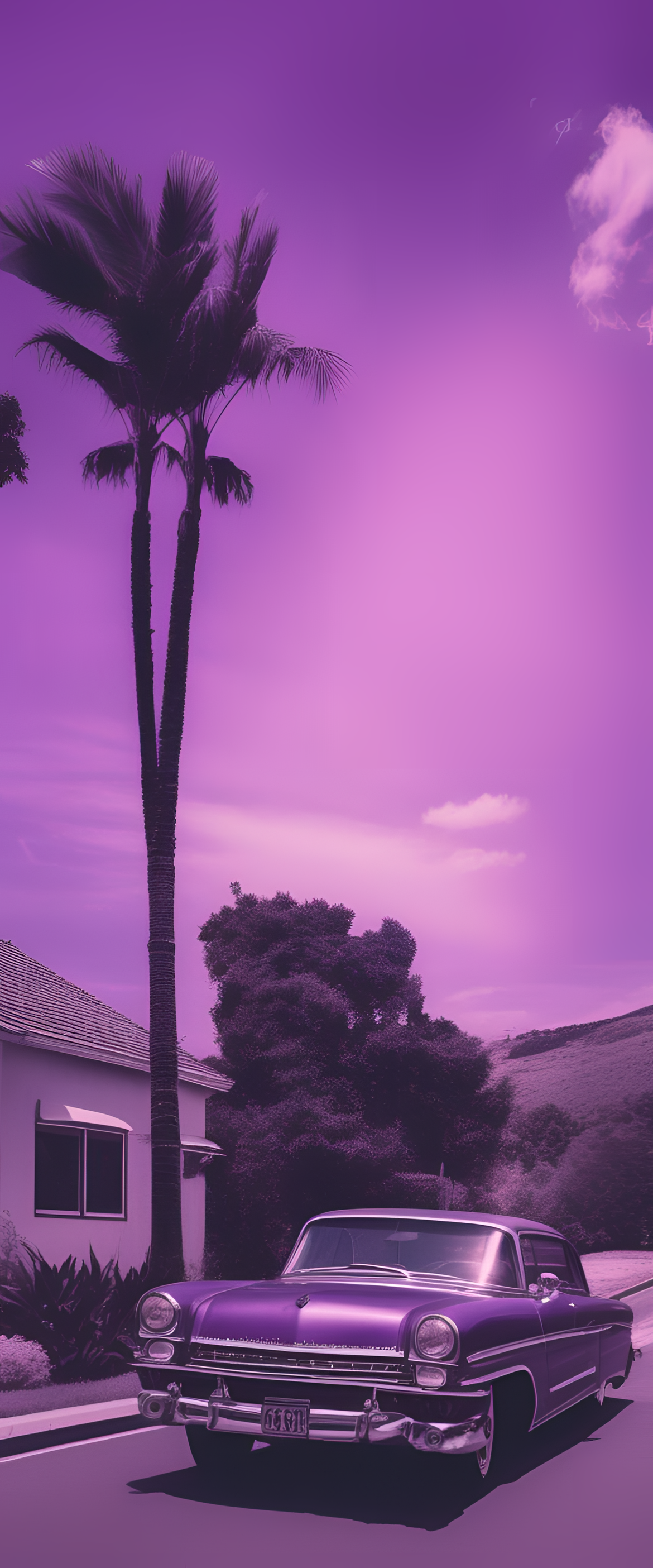 A Purple Aesthetic