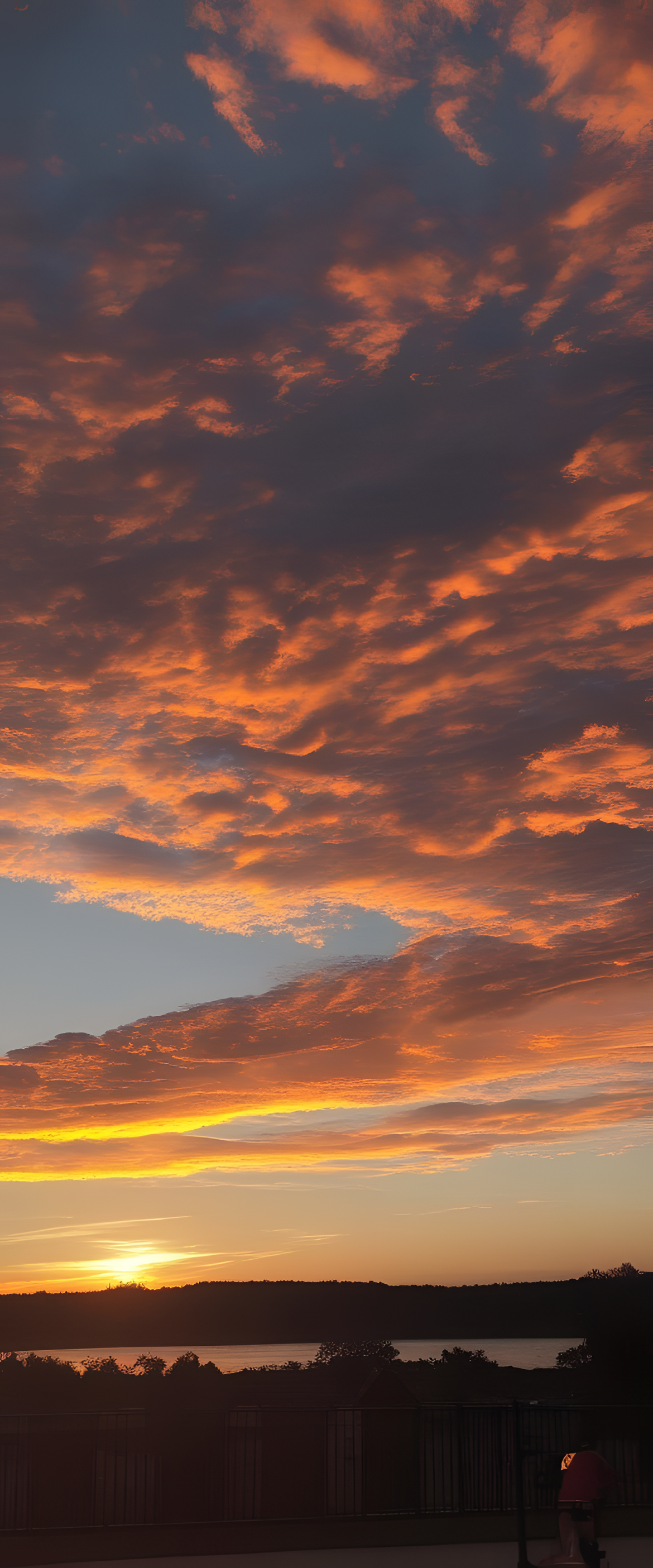 Vibrant sunset sky over calm water with silhouetted trees