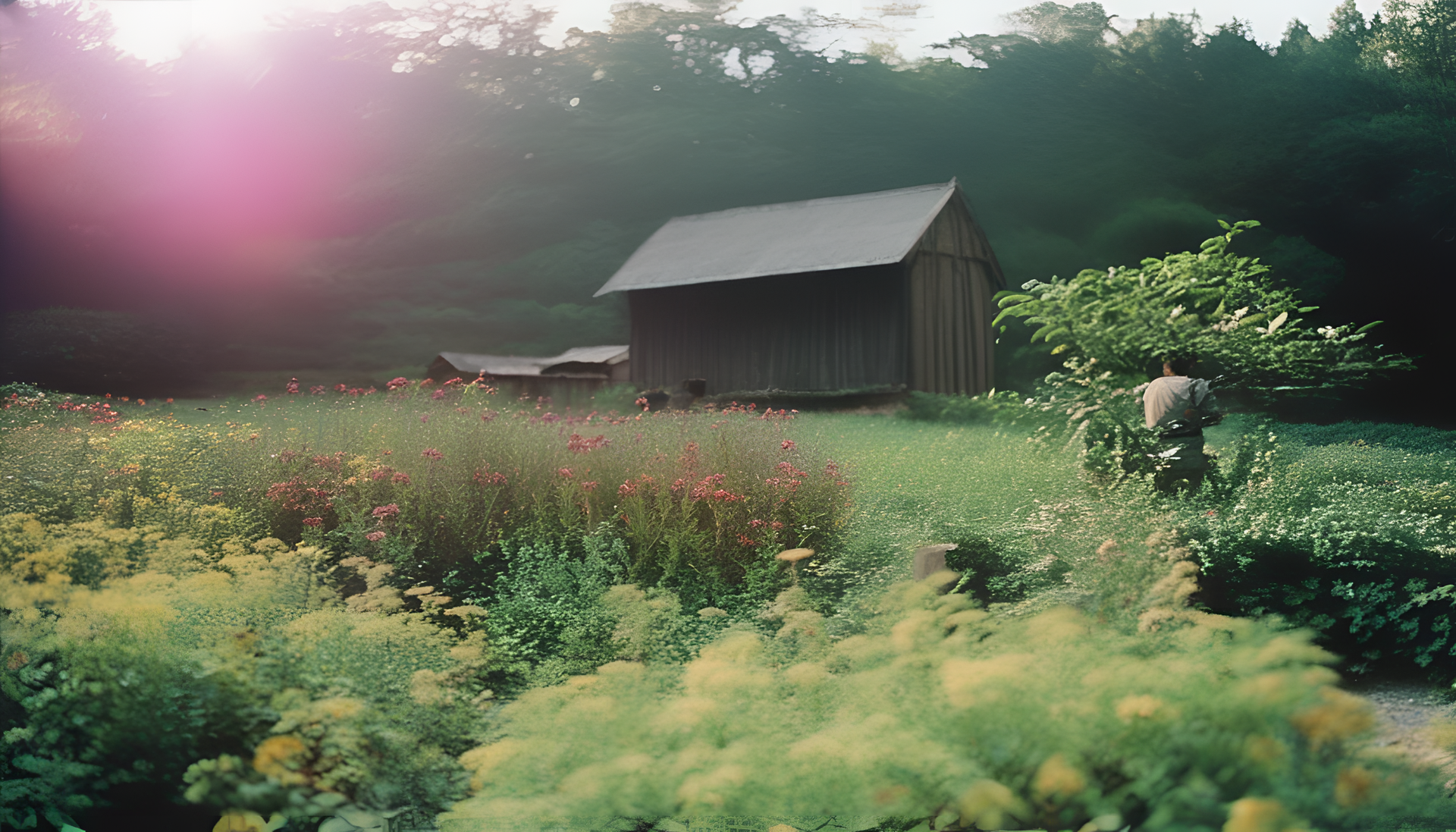 Vibrant nature landscape with colorful flowers and a mountain range in the background.