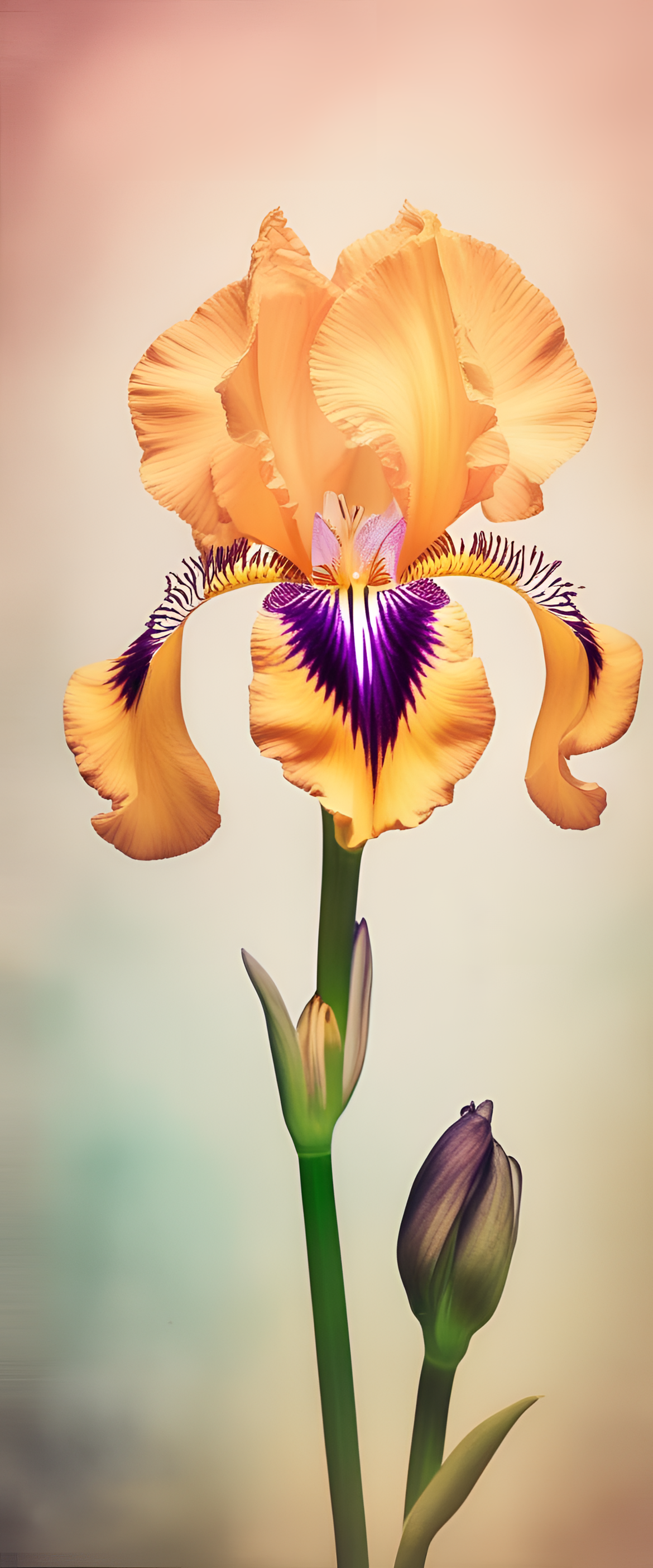 Iridescent vintage-style flower wallpaper for your phone.