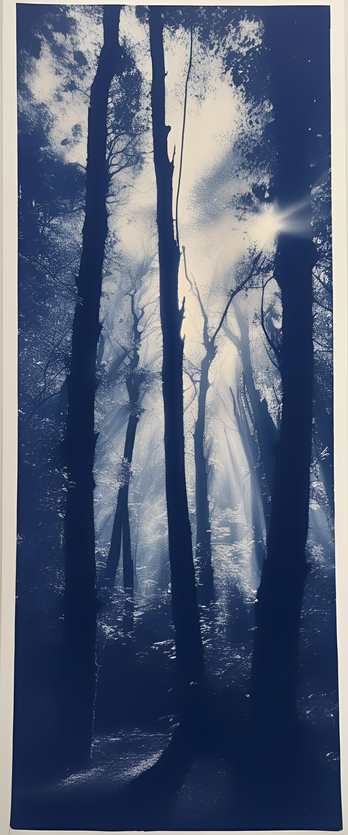 Cyanotype forest landscape phone wallpaper.