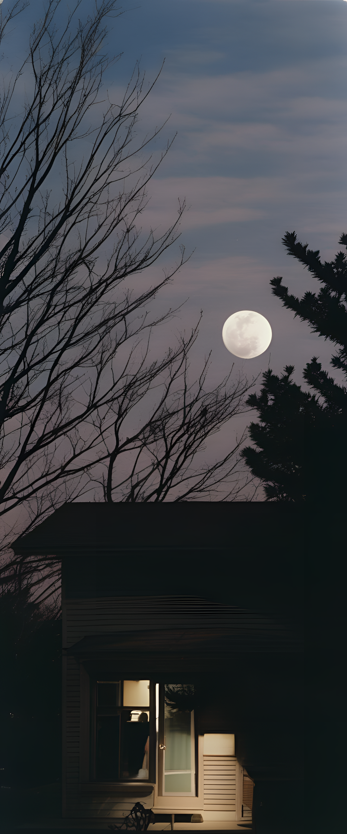 Moon illuminating the night sky over a landscape