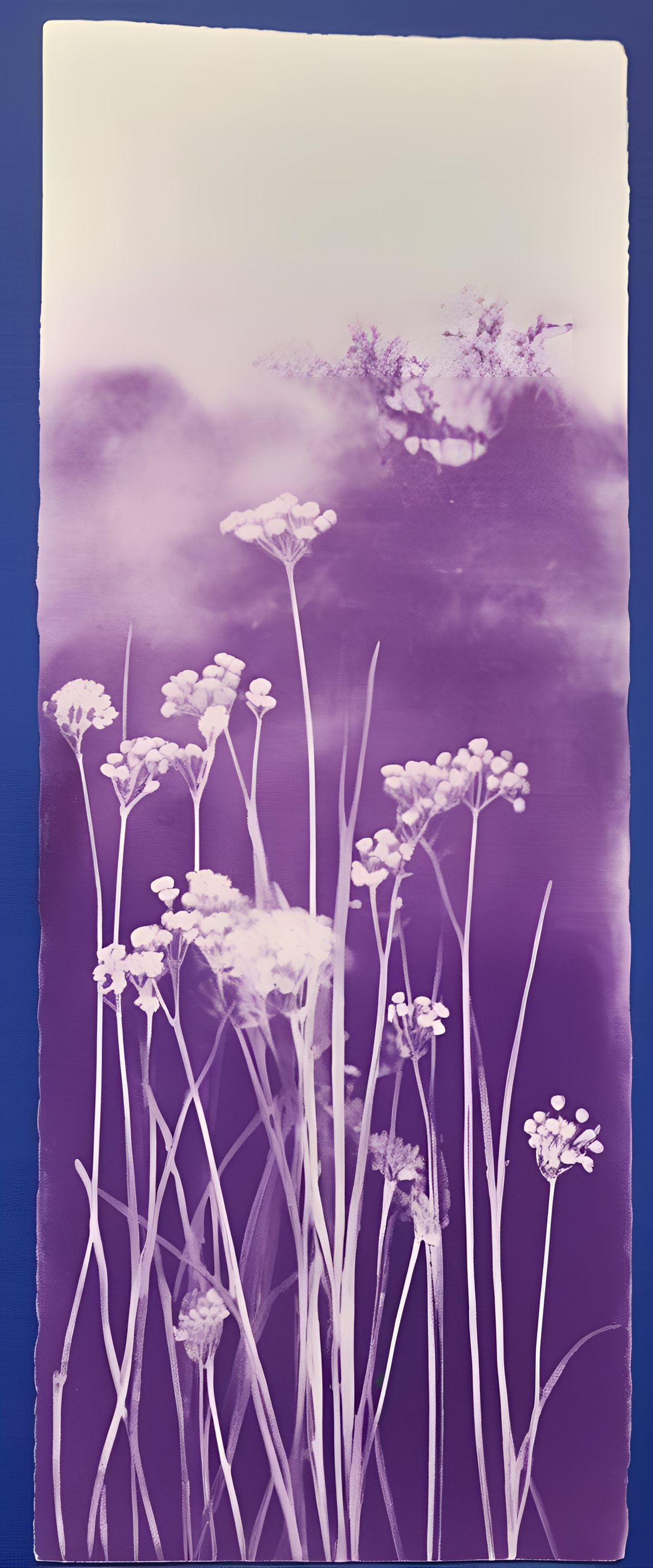 Vibrant purple cyanotype print on a background.